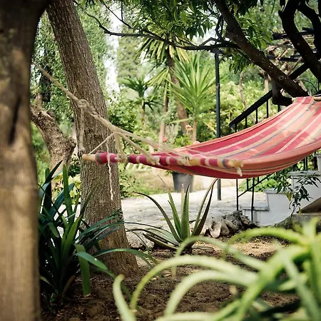 Casa de hóspedes Physis 2*