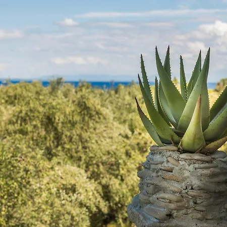 Physis Konukevi Vasilikí