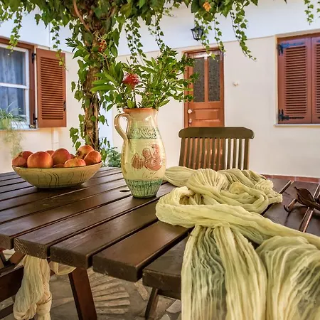 Konukevi Physis Vasilikí